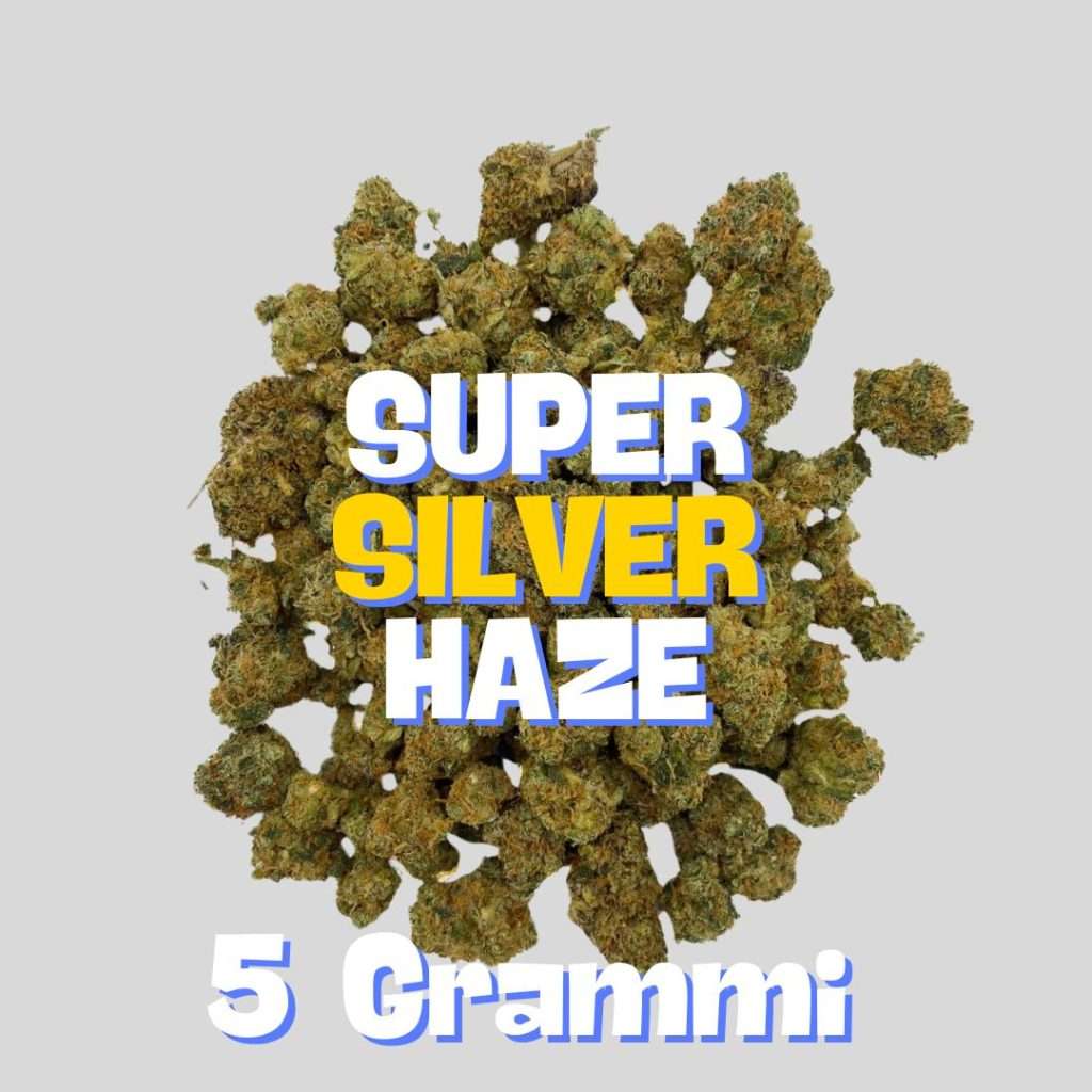 SUPER SILVER HAZE