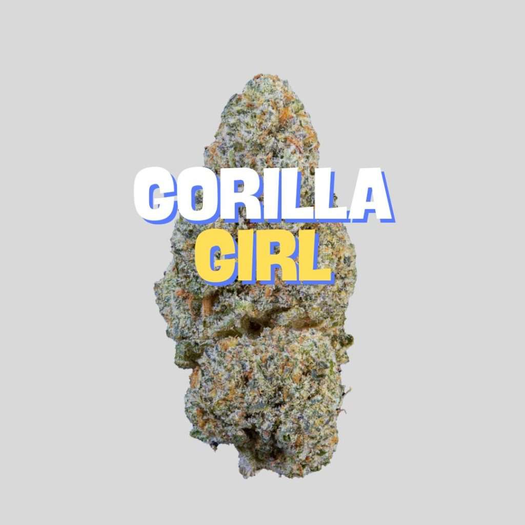 gorilla girl
