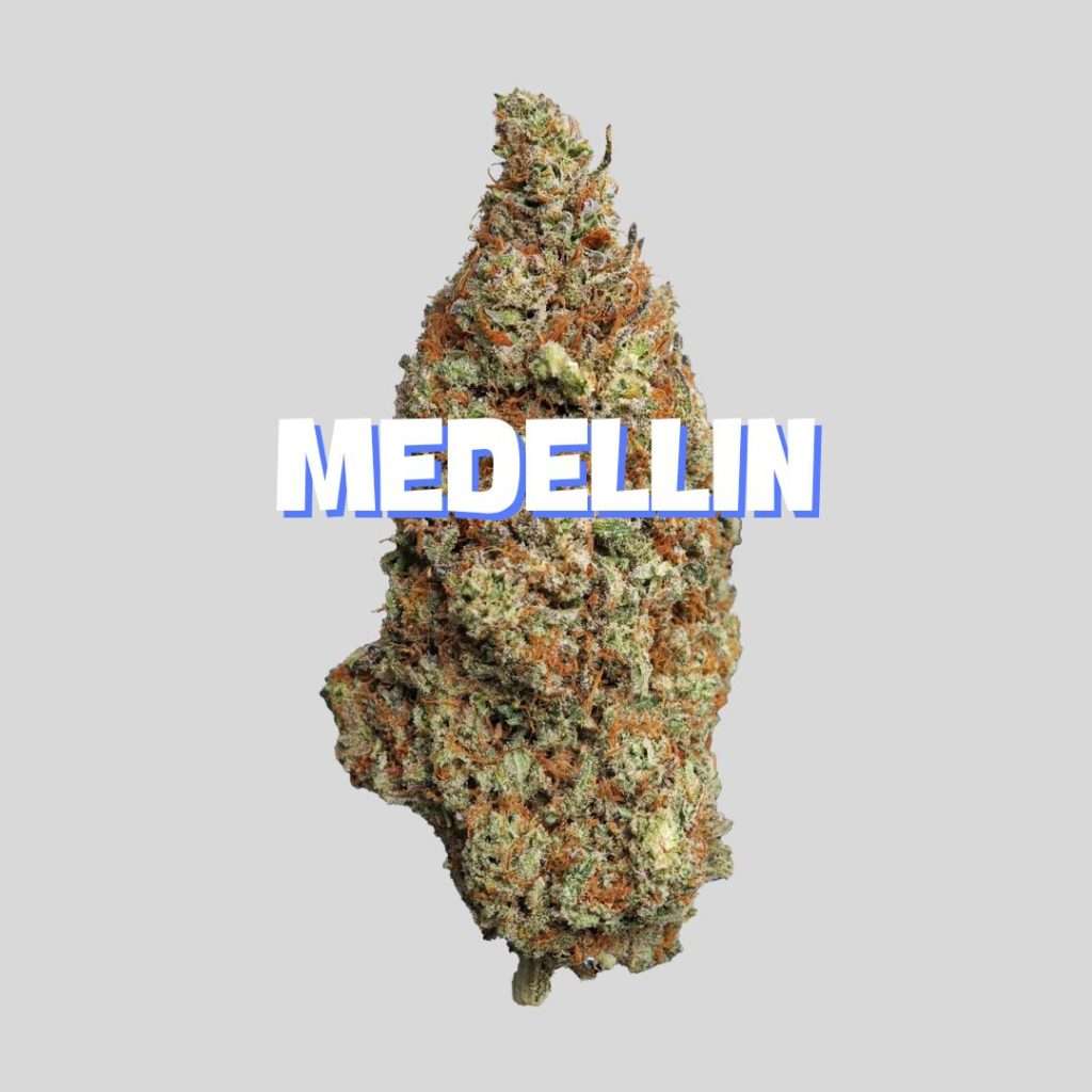 MEDELLIN
