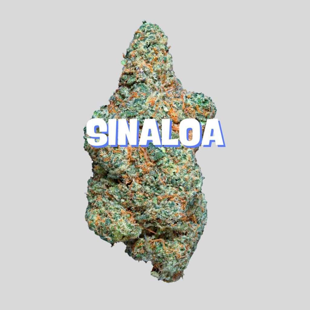 SINALOA