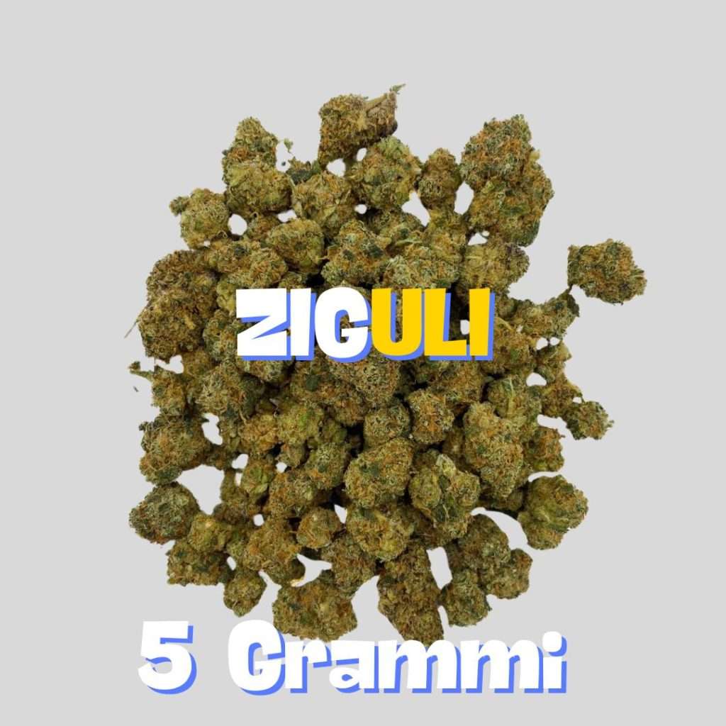 ZIGULI SMALL BUDS