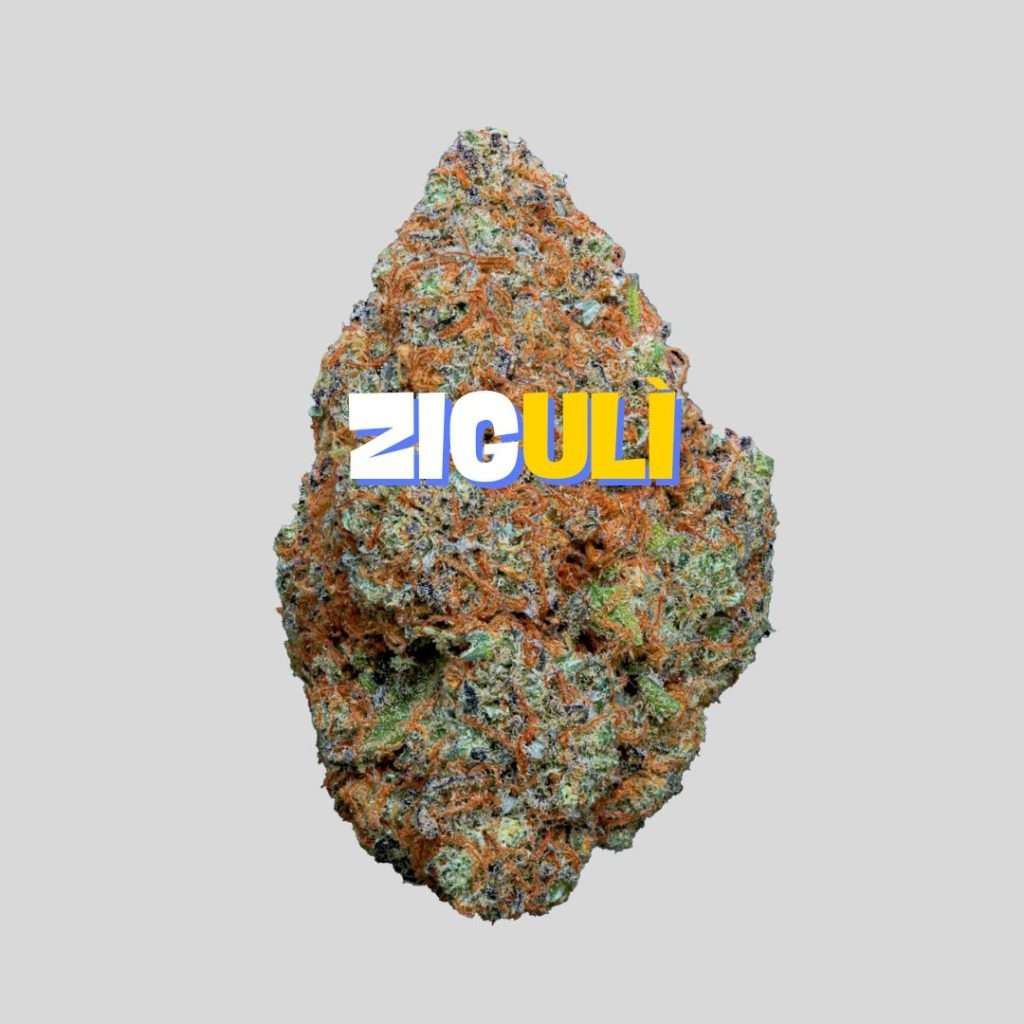 ZIGULI