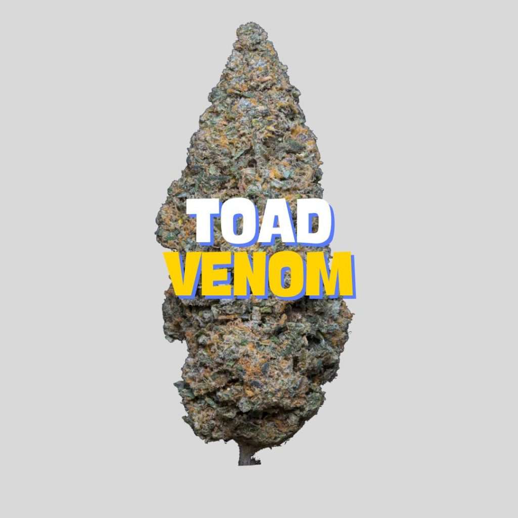 TOAD VENOM